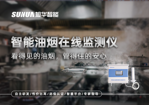 智能油烟在线监测仪：看得见的油烟，管得住的安心